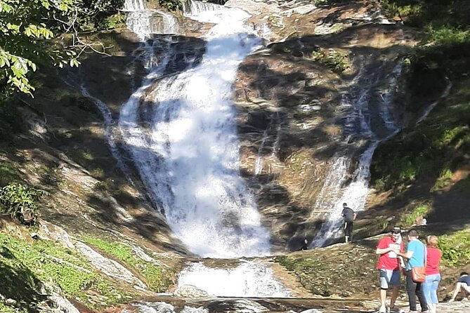 Cameron Highland Full Day Tour from KL City (Private) - What the private format really adds