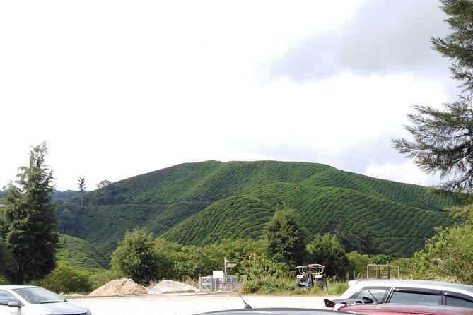 Cameron Highland Private Day Tour - Kea Farm Market and the produce stalls