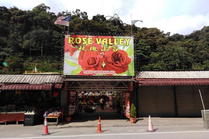 Cameron Highland Private Day Tour - Ee Feng Gu Bee Farm