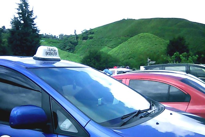 Cameron Highland Private Day Tour - Tea at Cameron Valley or Bharat Tea