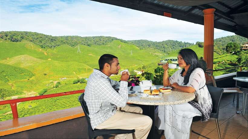 Cameron Highlands 1 Day Tour from Kuala Lumpur - What $173 buys you
