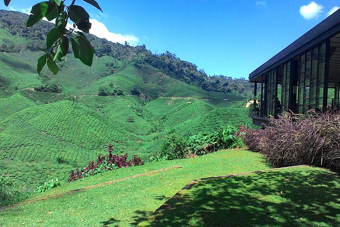 Cameron Highlands 3 Days 2 Night Tours Private (per Vehicle) - Why a private three-day Cameron Highlands trip works