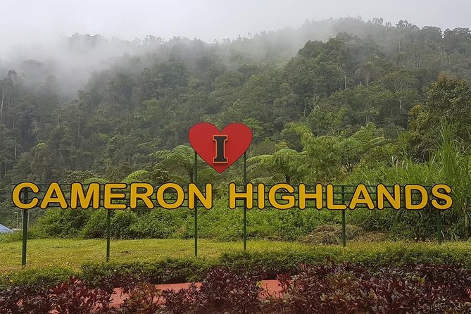 Cameron Highlands Amazing Day Trip Tour with Local Lunch - Key points before you book