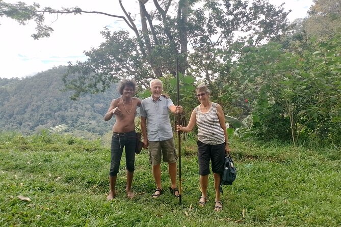 Cameron Highlands Day Trip - Why Cameron Highlands makes a strong day trip