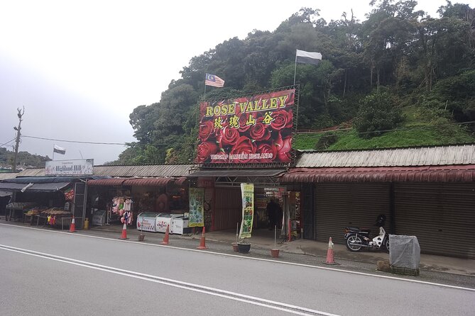 Cameron Highlands Day Trip - Big Red Strawberry Farm and Lavender Garden