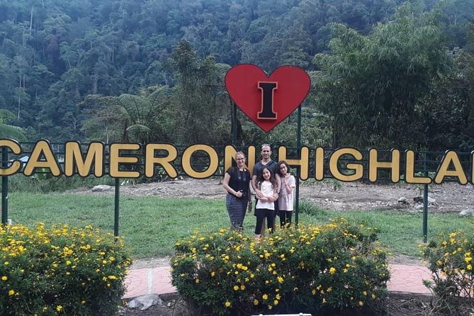 Cameron Highlands Day Trip From Kuala Lumpur - Strawberries and steep hills at Big Red Strawberry Farm