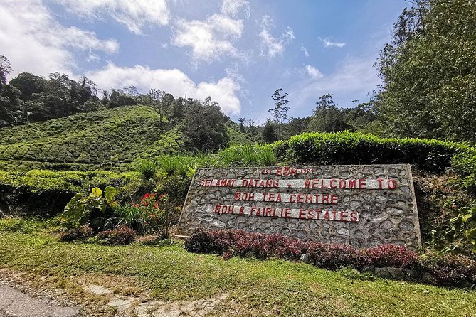 Cameron Highlands Full-Day Nature Tour - BOH Tea Plantation and Cameron’s coolest views