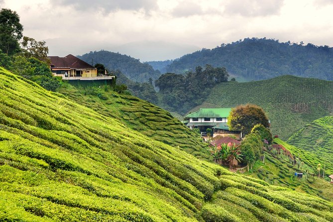 Cameron Highlands Full-Day Nature Tour - Lata Iskandar Waterfall and the road uphill