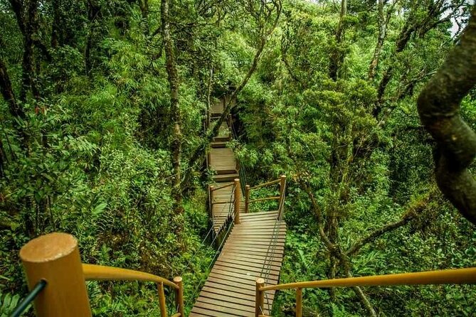 Cameron Highlands Full-Day Tour from Ipoh with Lunch - Key things to know before booking
