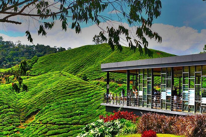 Cameron Highlands Full-Day Tour from Ipoh with Lunch - Sam Poh Temple above Brinchang