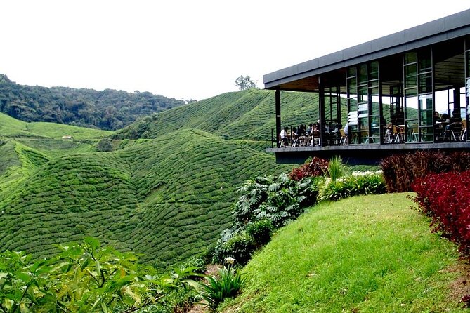 Cameron Highlands Full-Day Tour from Ipoh with Lunch - Lunch at Golfer’s Cafe in Brinchang