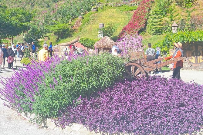 Cameron Highlands Full-Day Tour from Ipoh with Lunch - Cameron Bharat Tea Estate: another tea view, a different feel