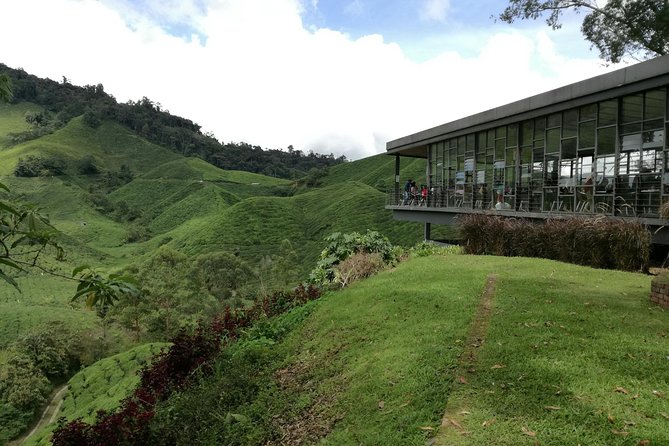 Cameron Highlands, Garden of Nature Full Day Private Guided Tour - Why Cameron Highlands works as a day trip from Kuala Lumpur