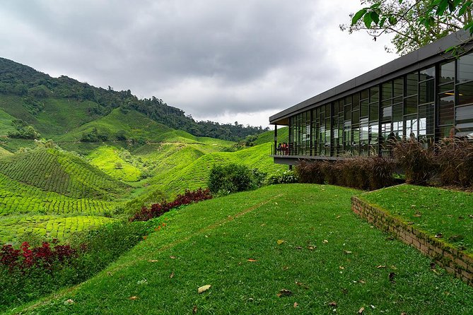 Cameron Highlands One Day Trip from Kuala Lumpur Privately Organised - Why this Cameron Highlands trip works as a one-day escape