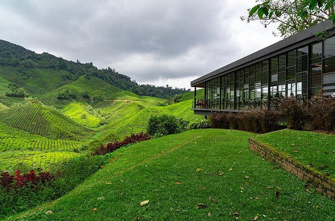 Cameron Highlands One Day Trip from Kuala Lumpur Privately Organised - Butterfly Garden for a change of pace