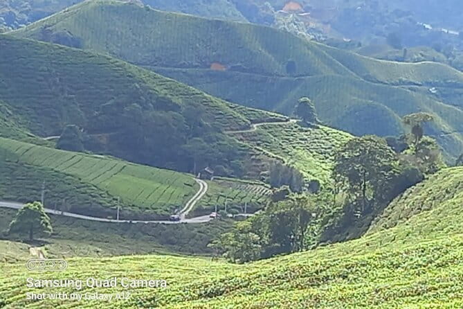 Cameron Highlands Private Day Tour from Ipoh, Package B - Key things to know before booking
