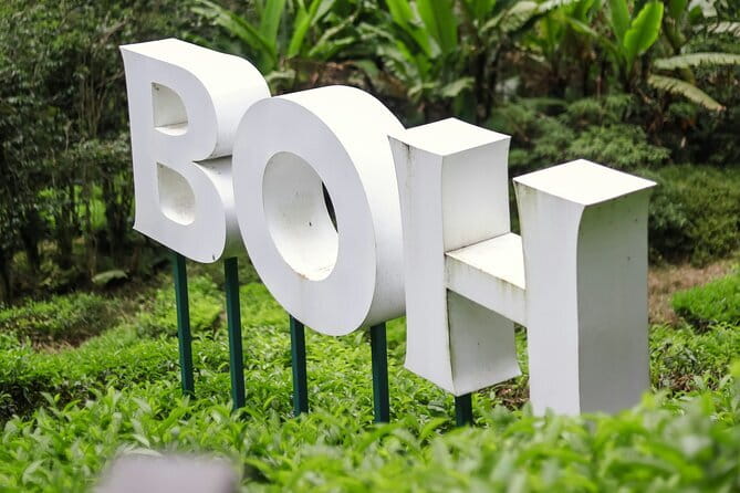 Cameron Highlands Private Day Tour from Ipoh, Package B - Green View Garden: a gentle final stop