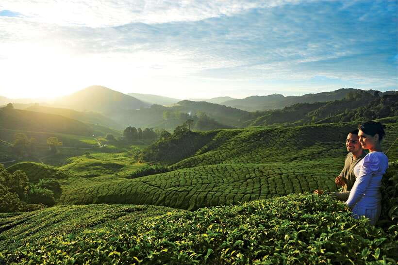 Cameron Highlands Private Day Tour from Kuala Lumpur - The long climb from Kuala Lumpur