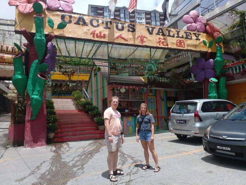 Cameron Highlands Private Day Trip - Why Cameron Highlands works as a day trip