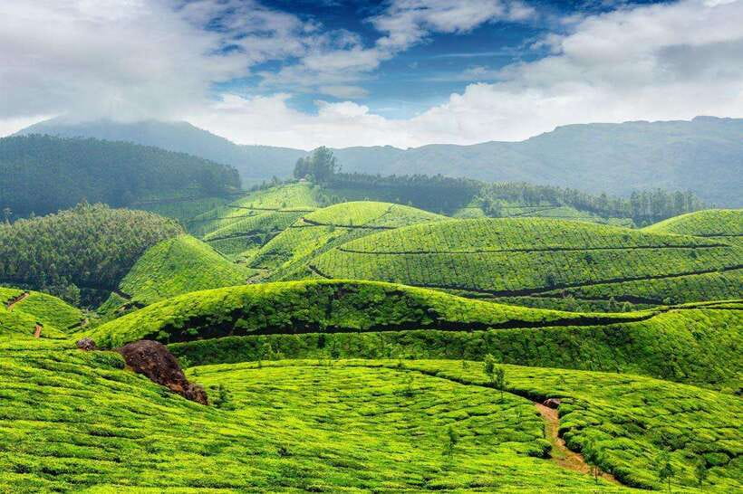 Cameron Highlands Private Day Trip - Lata Iskandar Waterfall after the climb begins