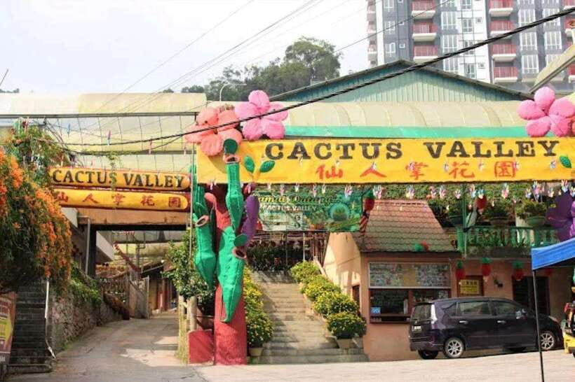 Cameron Highlands Private Day Trip - Comfort, timing, and what to bring
