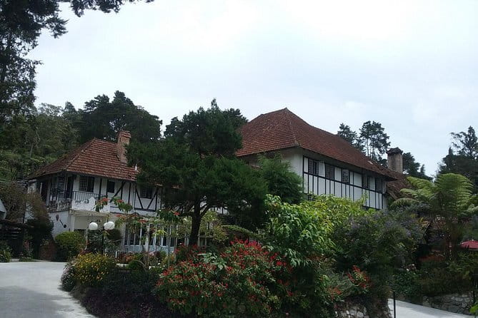 Cameron Highlands Sightseing Tour - The tea plantation is the main event