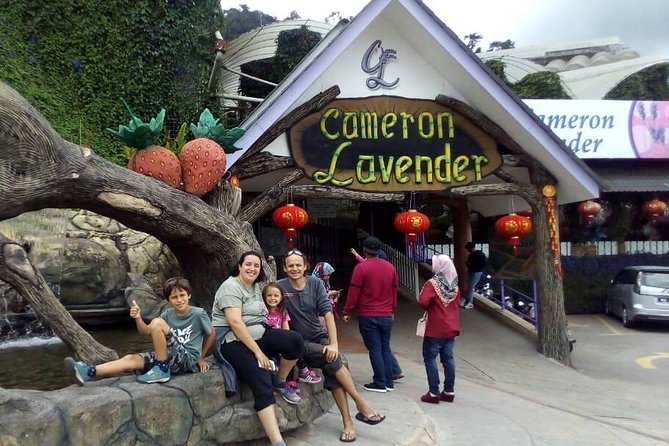 Cameron Highlands Sunrise Discovery - Who will enjoy this Cameron Highlands tour?