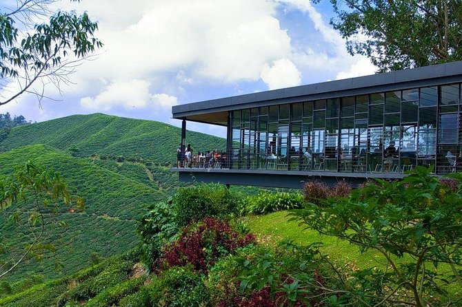 Cameron Highlands Tour from Kuala Lumpur - Why Cameron Highlands makes a useful escape from Kuala Lumpur