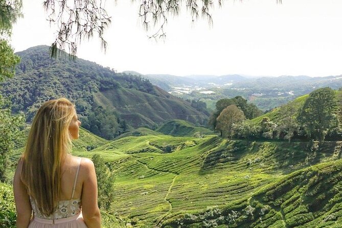 Cameron Highlands Tour from Kuala Lumpur - Lunch needs careful checking before departure