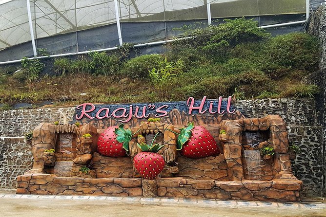 Cameron Highlands Tour From Kuala Lumpur (Private Tour) - Why this day trip works from Kuala Lumpur