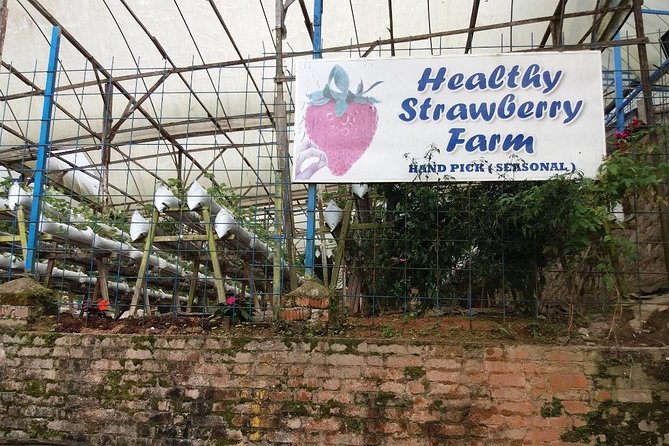 Cameron Highlands Tour From Kuala Lumpur (Private Tour) - Honey farms: useful, but not essential for everyone