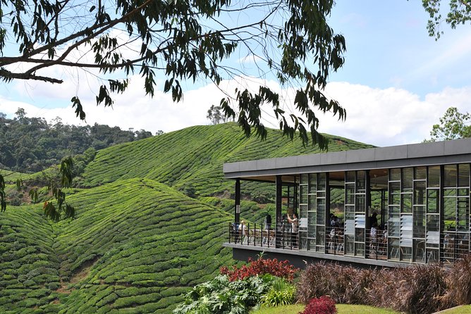 Cameron Highlands Tour From Kuala Lumpur (Private Tour) - The climb through jungle, villages, and sharp bends