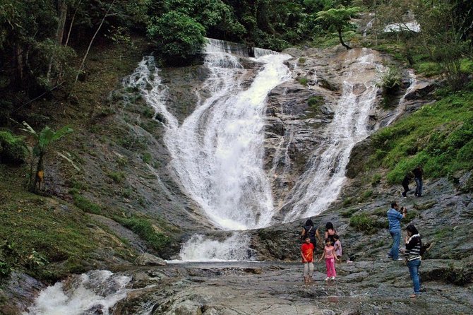 Cameron Highlands Tour on Private Basis - Butterfly Park and Honey Bee Farm