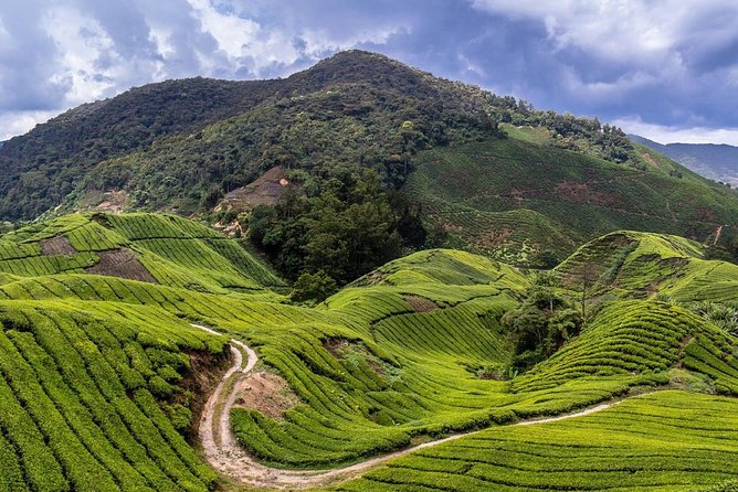 Cameron Highlands Tour on Private Basis - Meeting an indigenous community