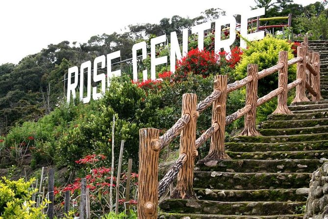 Cameron Highlands Tour on Private Basis - What the $125 price really covers