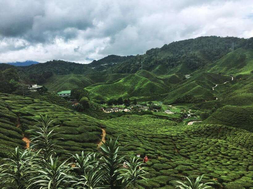 Cameroon Highland : Best nature in highland - Meeting an Aboriginal village and local culture