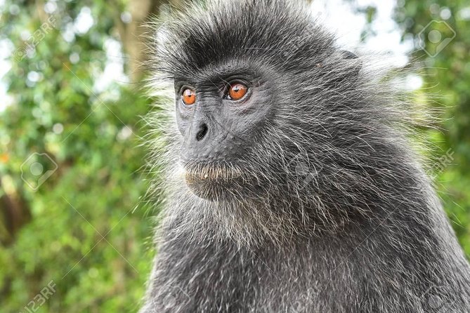 City Tour with Batu Cave and Fireflies Tour - Bukit Melawati and the road to Kuala Selangor