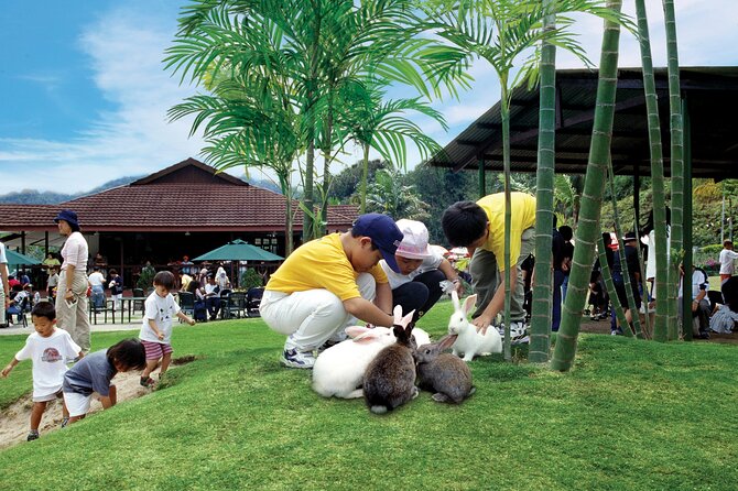 Colmar Tropicale and Batu Caves Day Trip (SIC - Join In Tour) - What the $36 price really covers