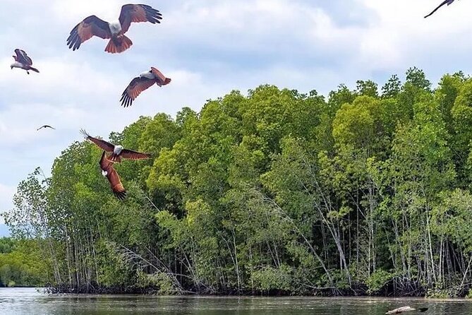 Combo - Cable Car & Sky Bridge And Tg. Rhu Mangrove Private Boat Tour With Lunch - Your driver can make or break the day