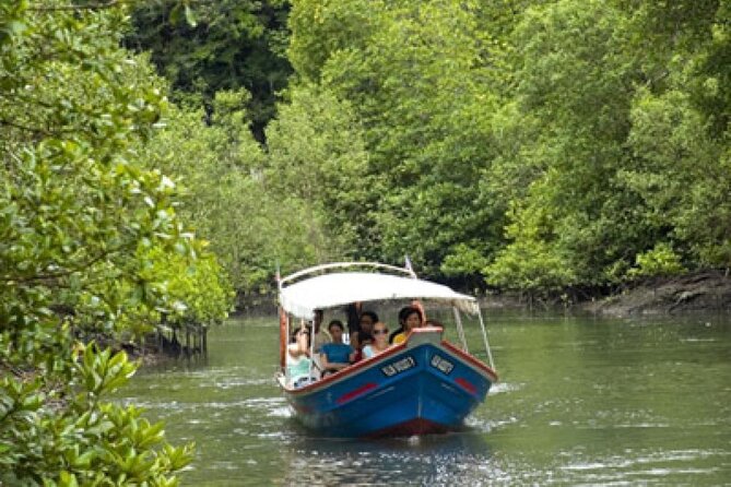 Combo - Cable Car & Sky Bridge And Tg. Rhu Mangrove Private Boat Tour With Lunch - The Skycab rises 708 meters above Mount Machinchang