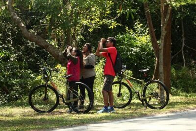Countryside Biking Tour in Langkawi