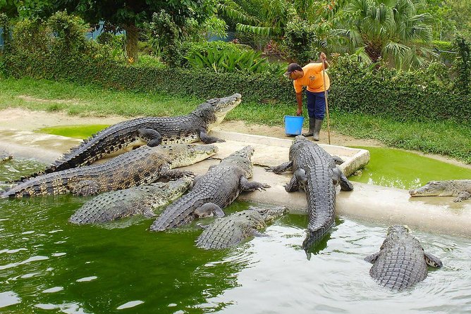 Customize Langkawi Full Day Tour (8 hrs-Private Tour) - Crocodile Adventureland, Mahsuri’s Tomb, and Gallery Perdana