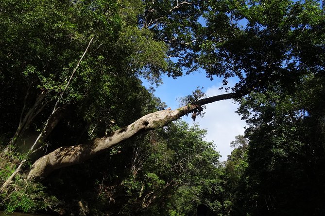 Day Tour Aborigine Village @ Rainforest Taman Negara + Batu Caves - The 6:00 am pickup and long road to Taman Negara