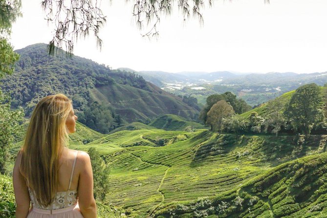 Day Trip to Cameron Highlands: Nature Escape from Kuala Lumpur - Sam Poh Buddhist Temple above Brinchang