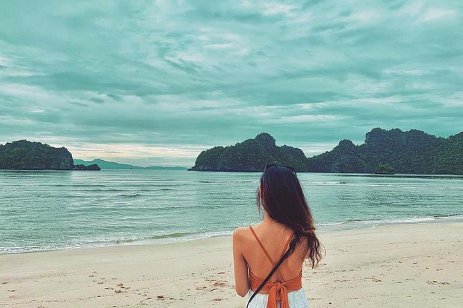 Discover Langkawi Like a local Include Mangrove Tours - Kilim Geoforest Park and its three-hour boat ride