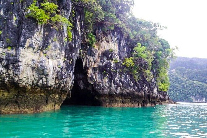 Discover Mangrove Forest and Cave Tour in Langkawi (Shared Tour) - A Four-Hour Introduction to Langkawi’s Mangroves