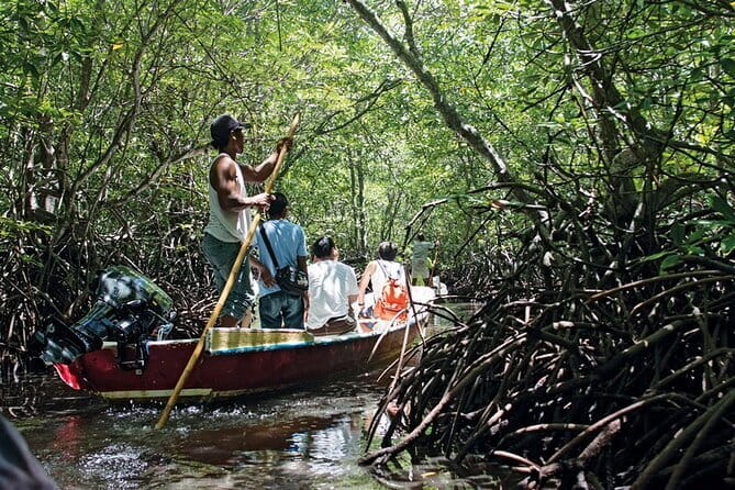 Discover Mangrove Forest and Cave Tour in Langkawi (Shared Tour) - Eagles Feeding Above the River