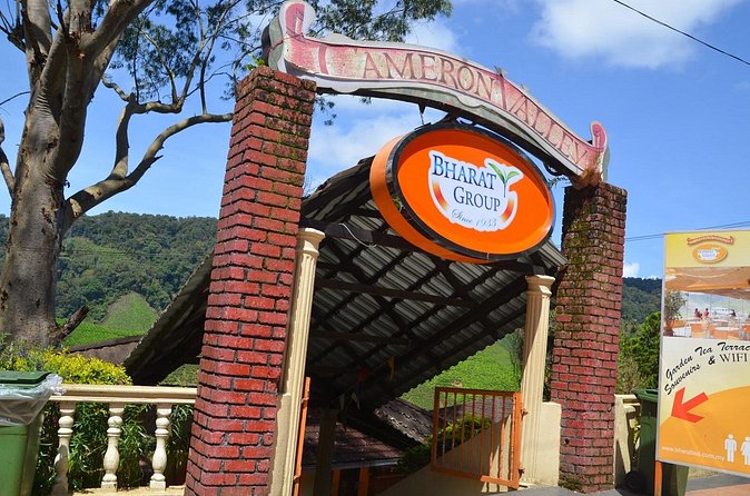 Elevate Your Senses: A Day of Wonders in Cameron Highlands! - Lata Iskandar and the ride through the hills