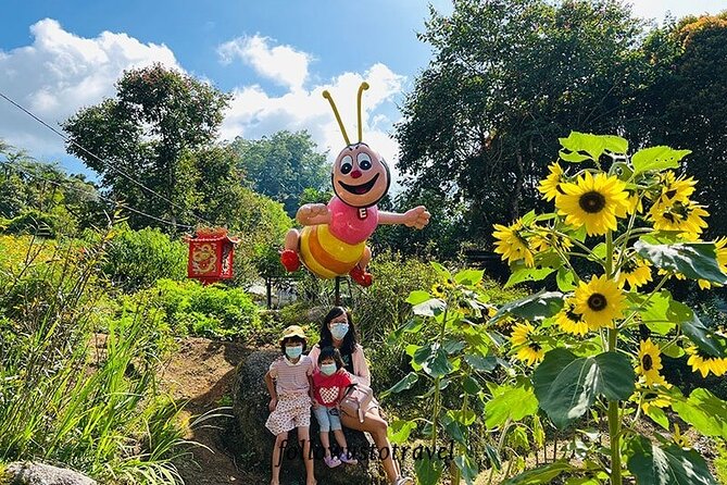 Elevate Your Senses: A Day of Wonders in Cameron Highlands! - Who should choose this tour?