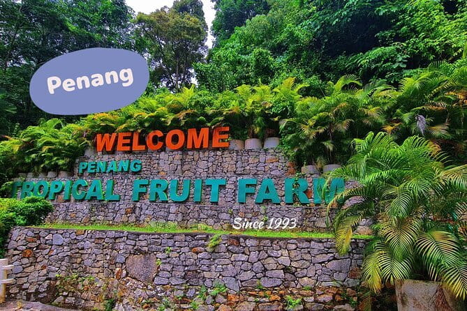 Explore Penang Your Way: Tailor-Made Private Guided Tour 4-10 Hrs - Kapitan Keling Mosque and Little India